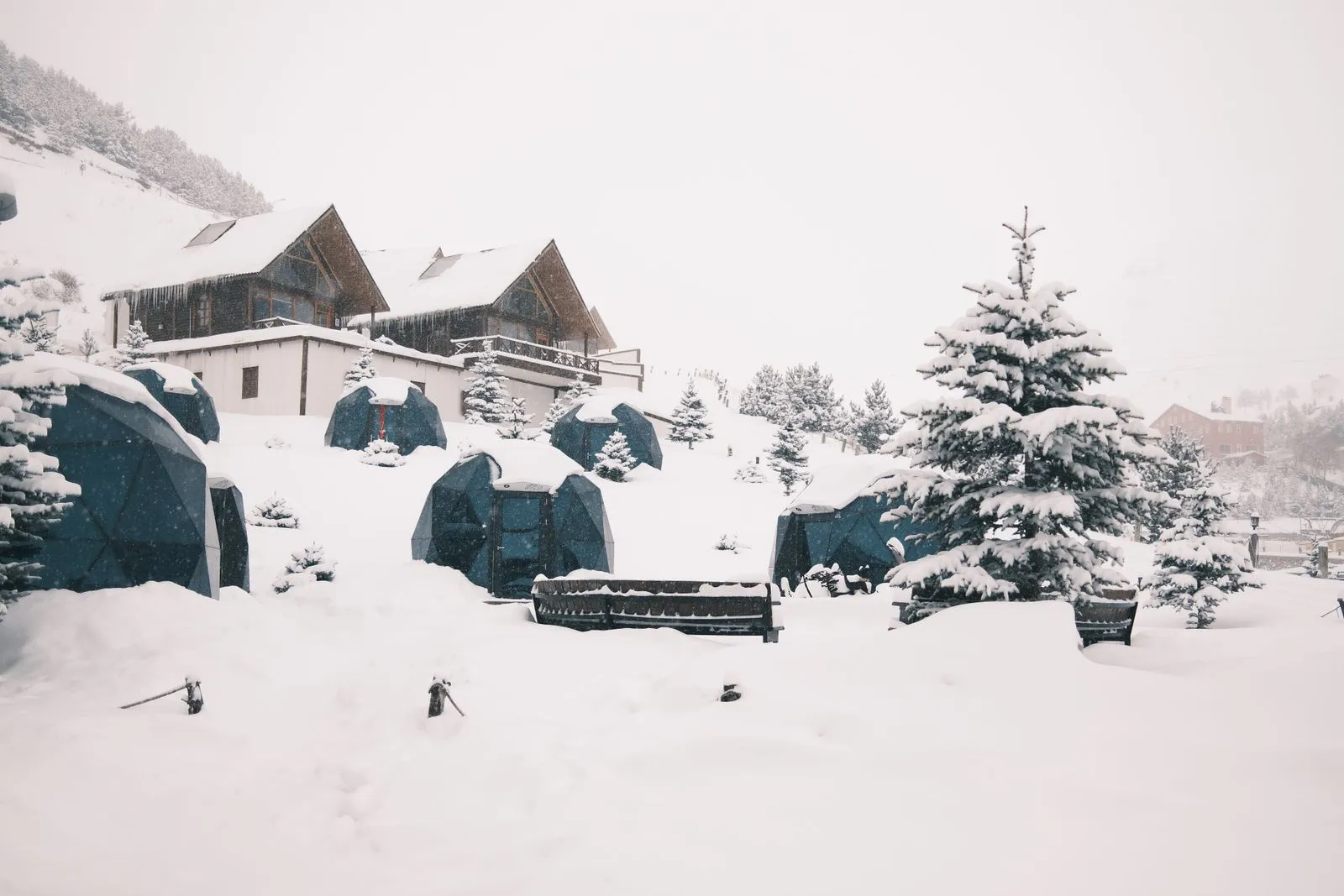 Scenic snowy landscape with geodesic domes and pine trees, perfect for winter glamping.